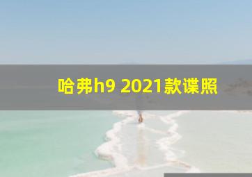 哈弗h9 2021款谍照